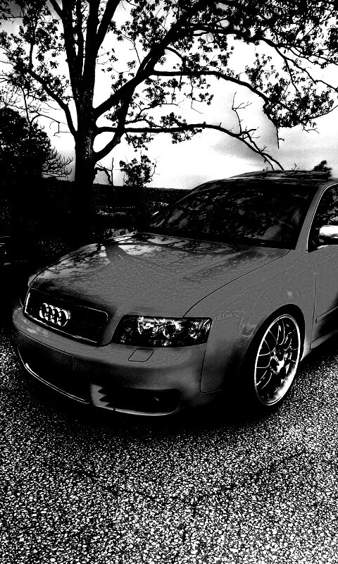 Желтый Ауди на дороге обои