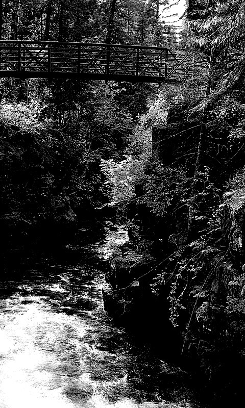 Мостик через реку в лесу обои