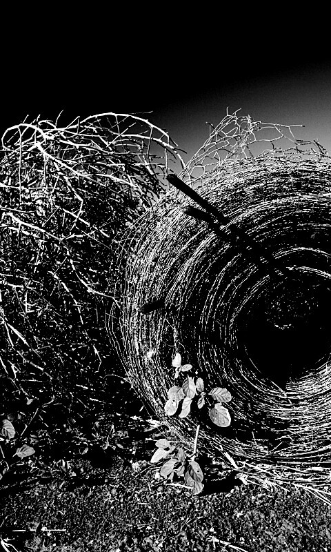 Клубок сена обои