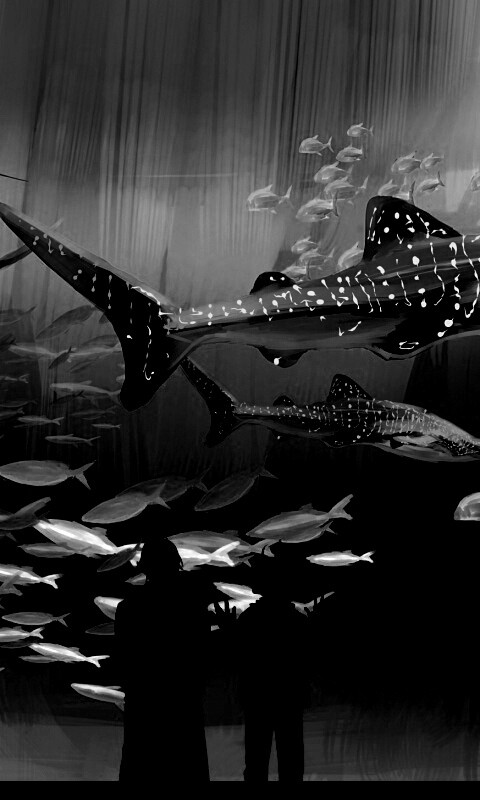 Двое в океанариуме обои