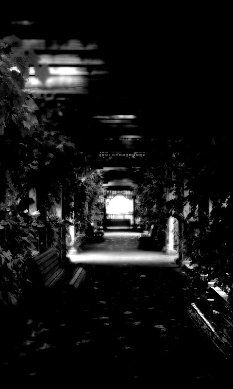 Узкая аллейка обои