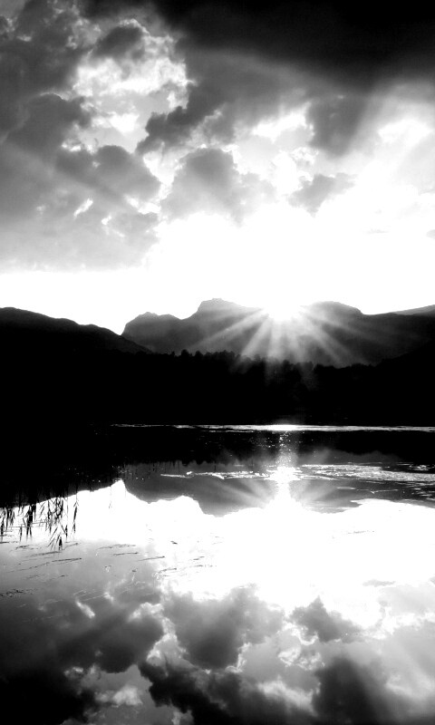 Закат за лесом обои