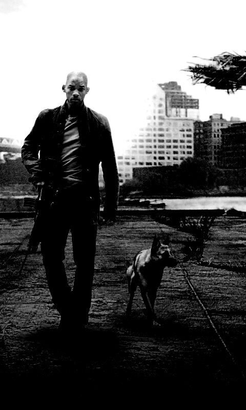 Я - легенда обои