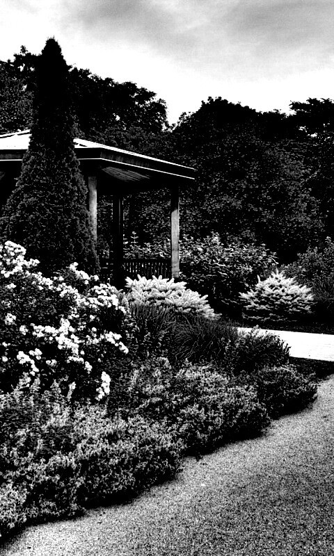 Ландшафтный дизайн обои