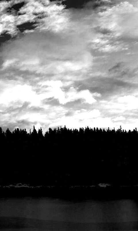 Лес на озере обои