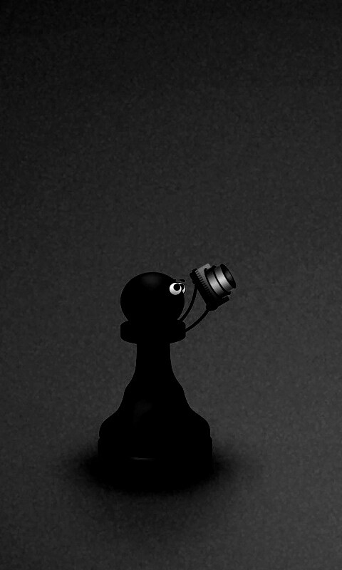 Пешка фотографирует короля обои