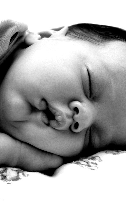 Спящая прелесть обои