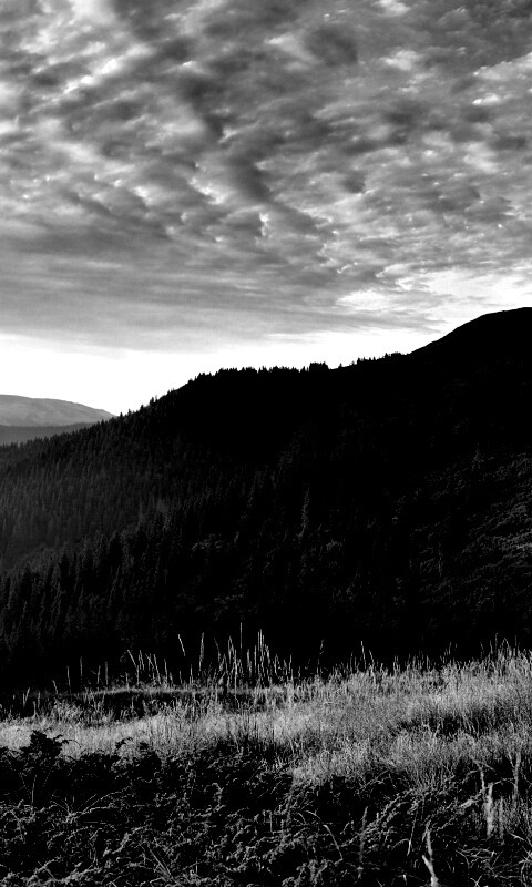 Предгорье обои