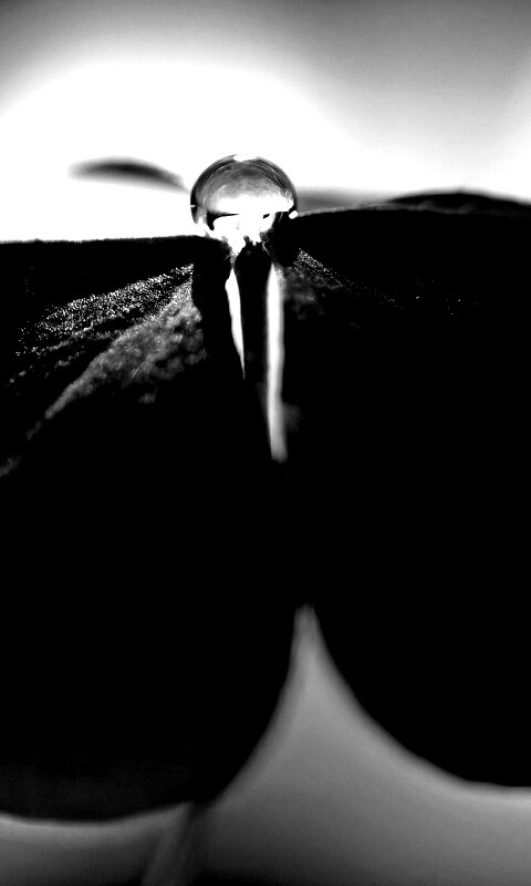 Зеленые листики и капелька воды обои