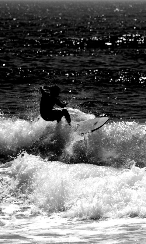 Сёрфенгист поймал волну обои