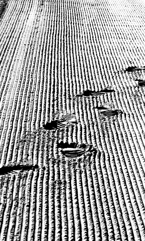 Следы на песке обои