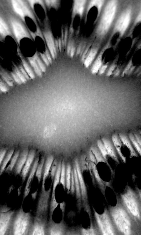 Макро фото киви в разрезе обои