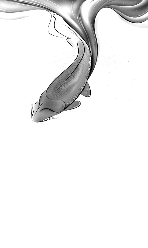 Золоая рыбка  обои