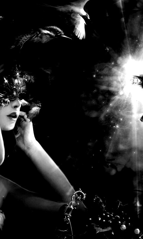 Птицы счастья обои