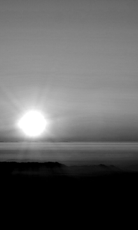 Восход солнца над лесом обои