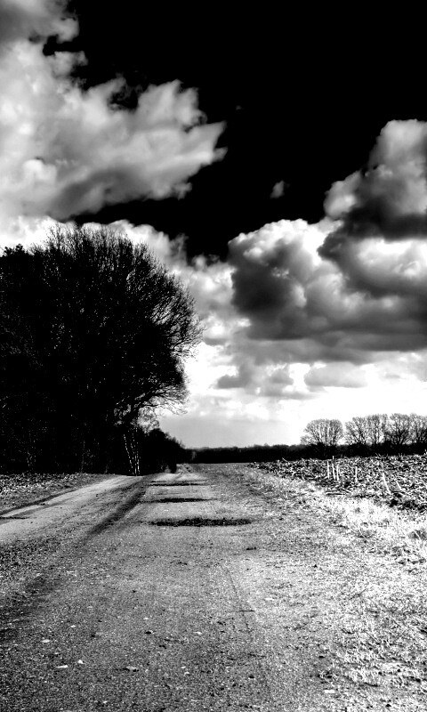 Дорога через поле обои