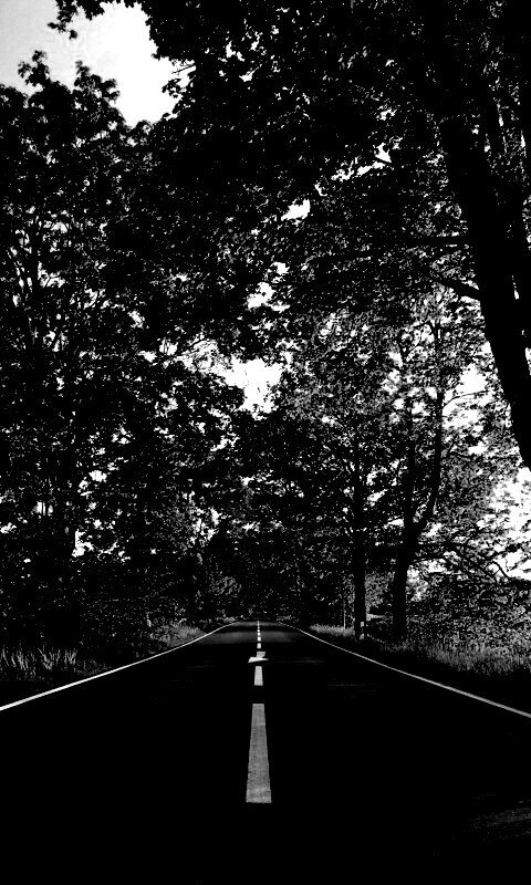 Прямая дорога обои