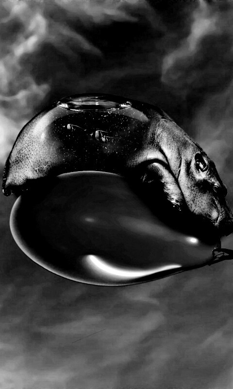 Водяной гиппопотам на шарике обои