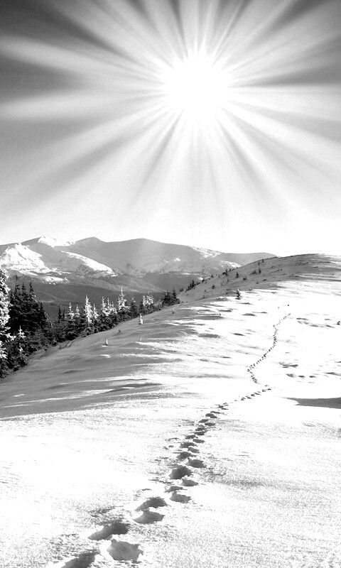 Холодные лучи зимнего солнца обои