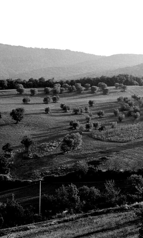 Ферма в долине обои