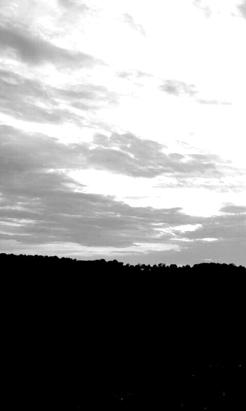 Дорога к лесу обои