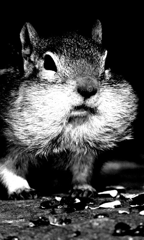 Не жадный, а бережливый обои