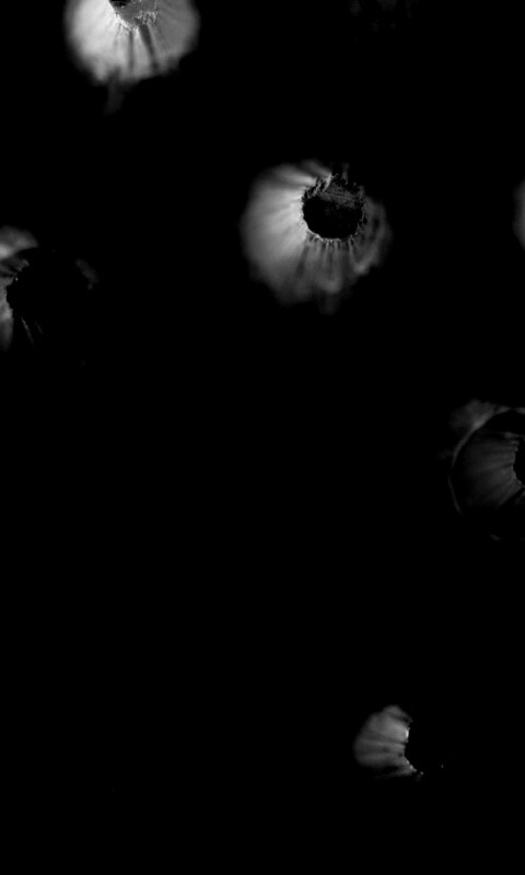 Карандаши обои