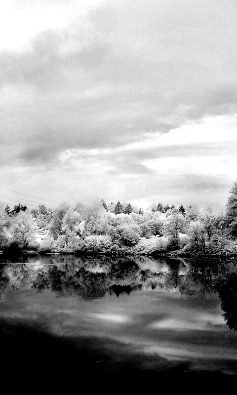 Зимний пейзаж обои