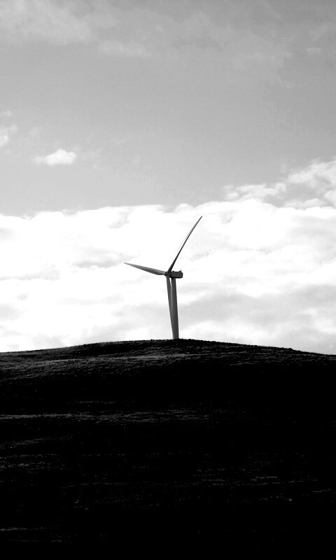 Ветряки в поле обои