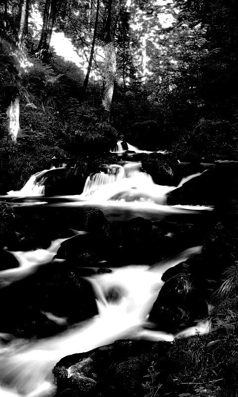 Живописный лесной водопад обои