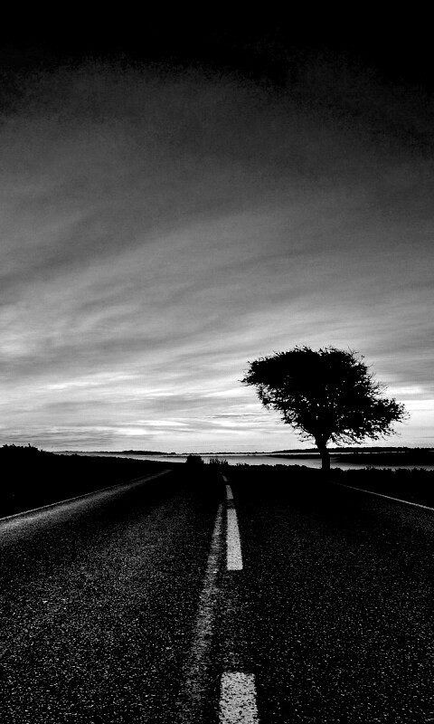 Дорога обои