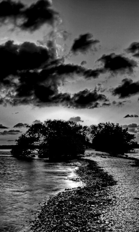 Побережье на закате обои