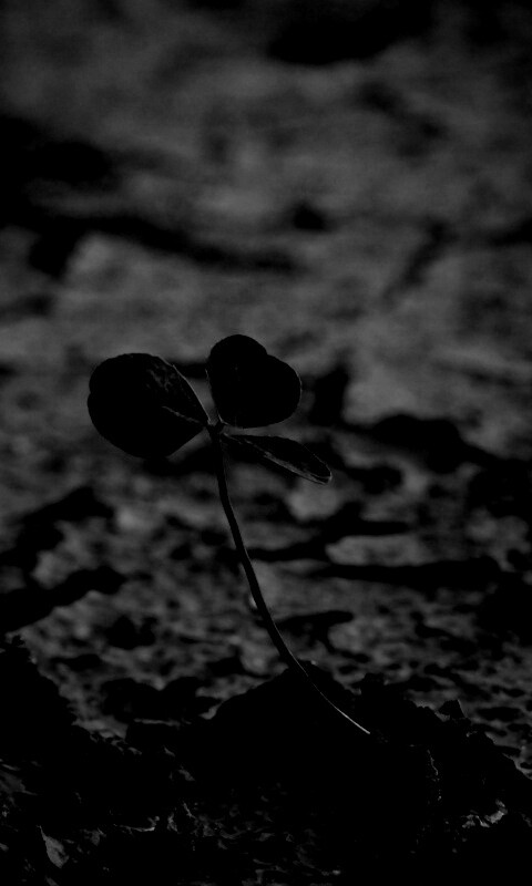 Сила природы обои