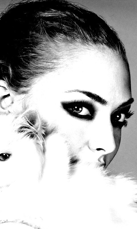 Девушка с кошкой обои