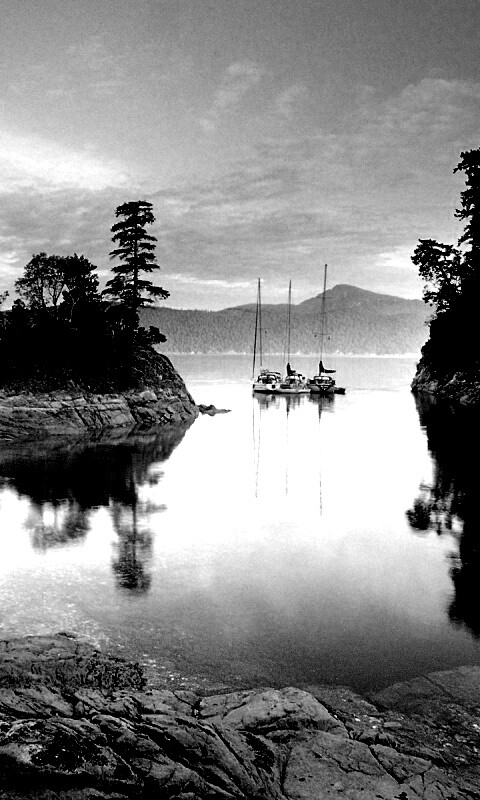 Яхты в заливе обои