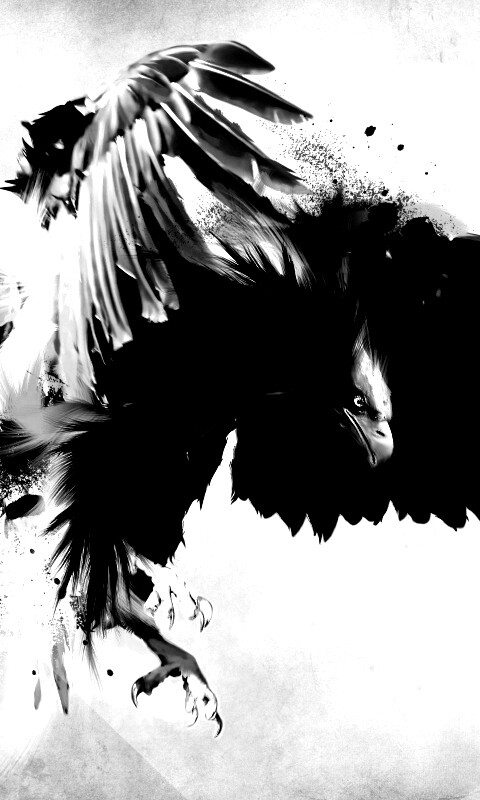 Скетч с орлом обои