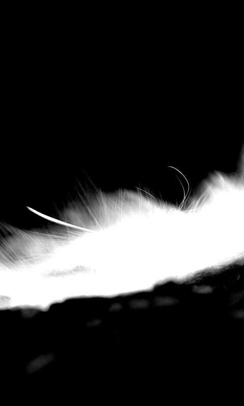 Вспышка обои