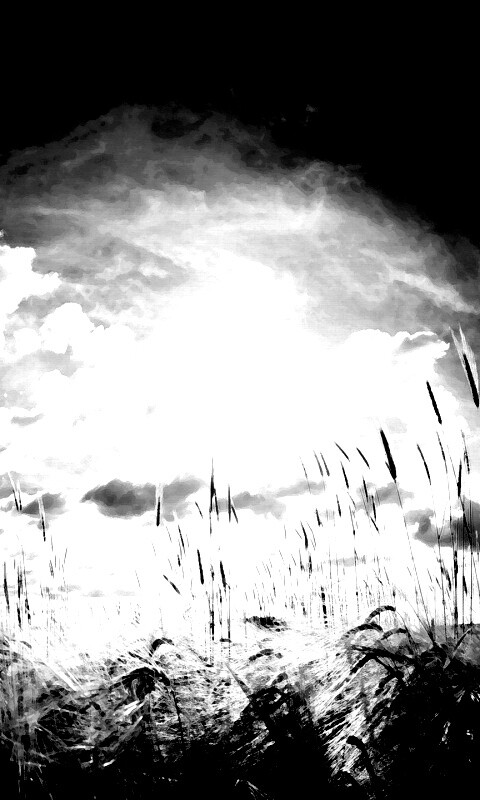 Сюрреалистичная трава обои