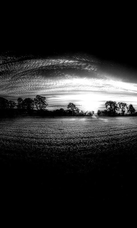 Поле широкоугольным объективом обои