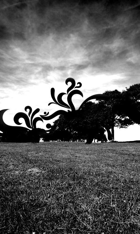 На равнине обои