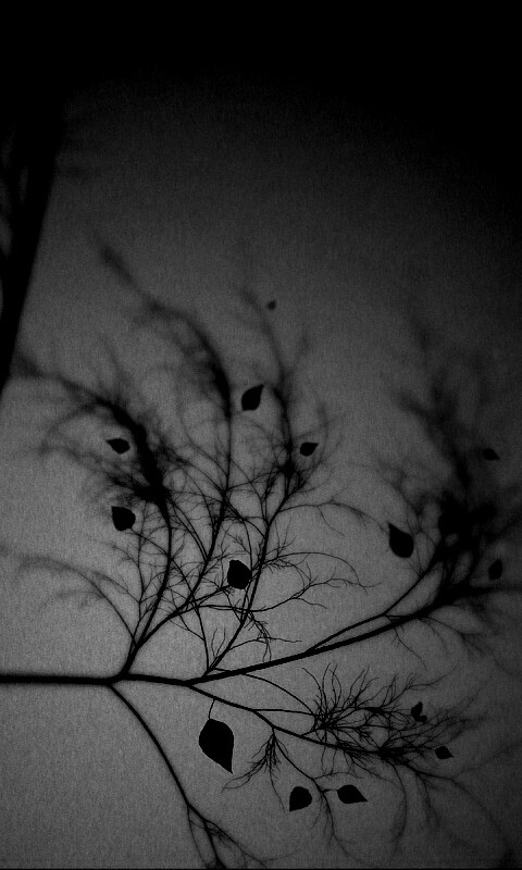 Это осень обои