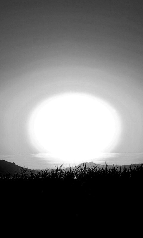 Сельский закат обои