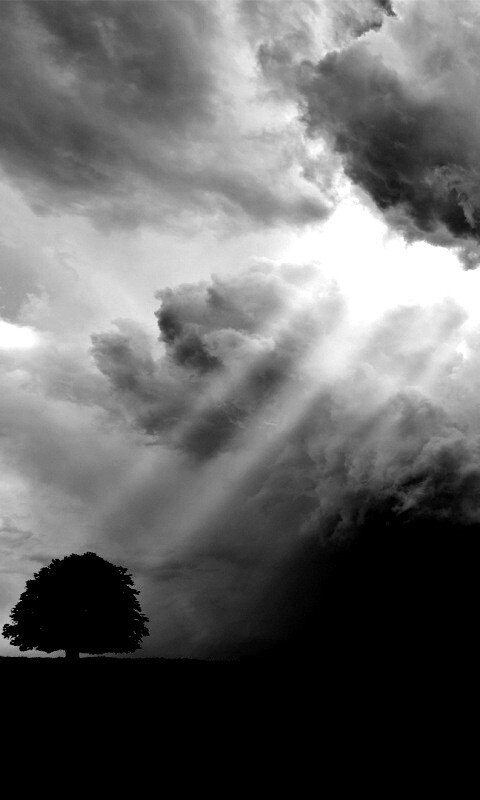 Избранный обои