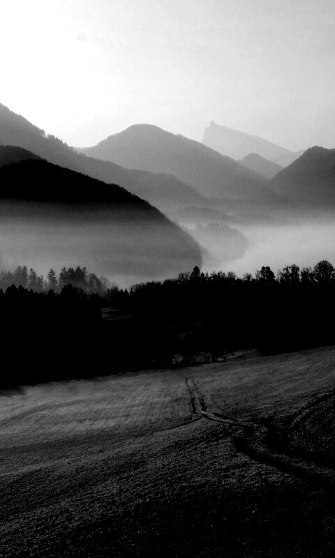 Дорога в туманную долину обои