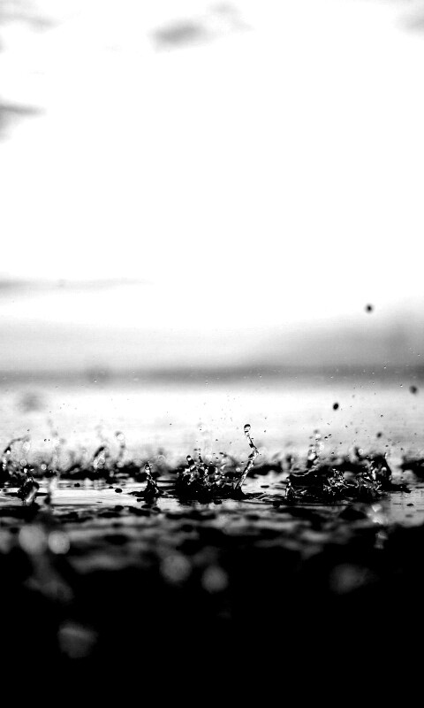 Дождь в макро обои