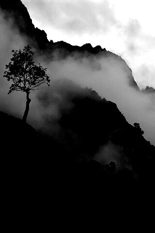 Сумерик в горах обои