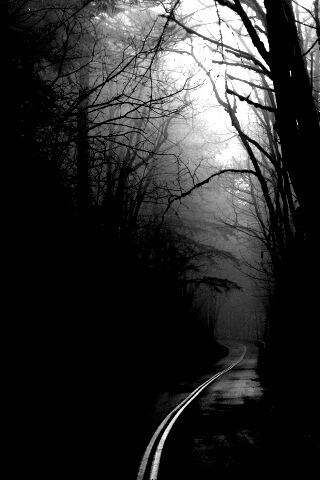 В туман обои