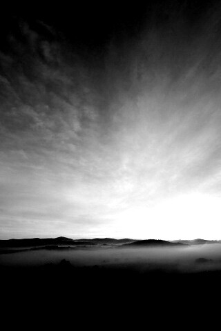 Утренний туман обои