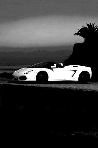 Белый кабриолет ламбо обои