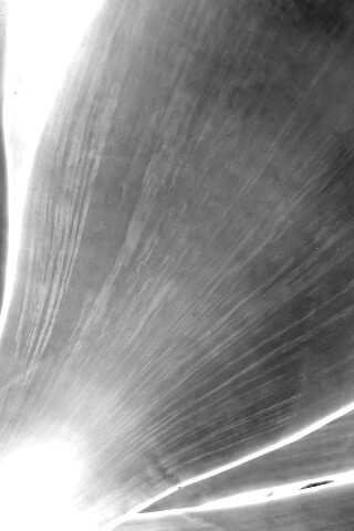 Макро фото травинки обои